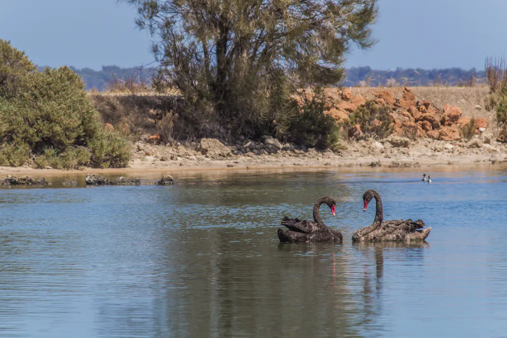 110 South Yunderup Road, South Yunderup, WA, 6208 - Image 35