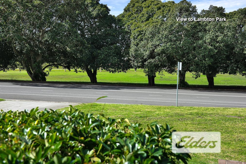 19 Howe Street, Lambton, NSW, 2299 - Image 12