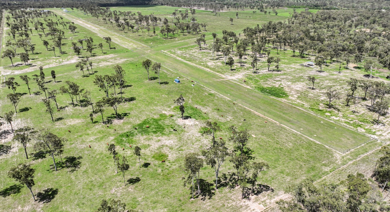 390 Dairy Inn Road, Cawarral, QLD, 4702 - Image 31