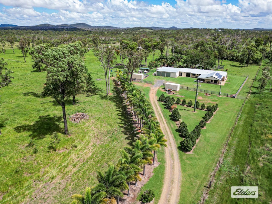 111 Prestons Road, Adelaide Park, QLD, 4703 - Image 1