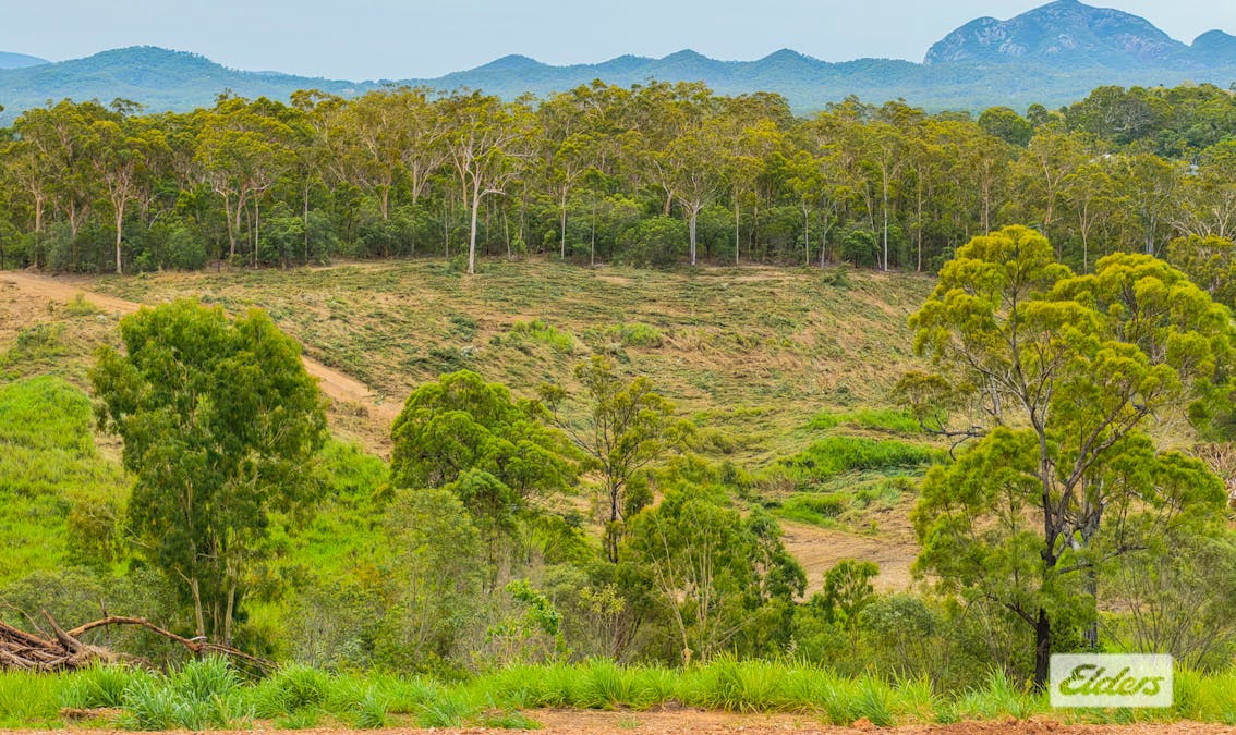 188/Homestead Place, Tanby, QLD, 4703 - Image 6