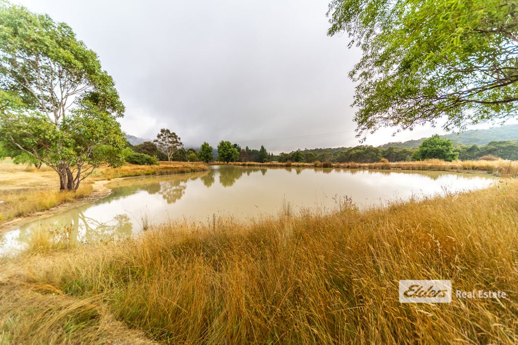 2062 Bonang Road, Delegate River, VIC, 3888 For Sale Elders Real Estate