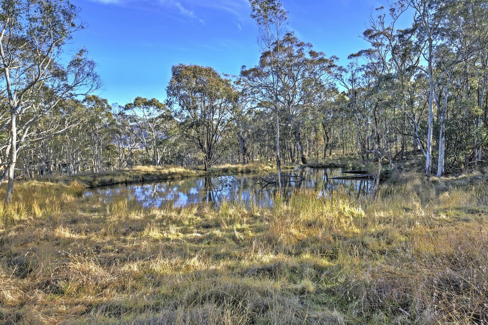 18 Highview Court, Omeo, VIC, 3898 Sold Elders Real Estate