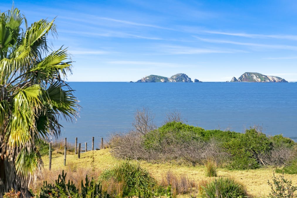 62 Sandy Place, Long Beach, NSW, 2536 - Image 19