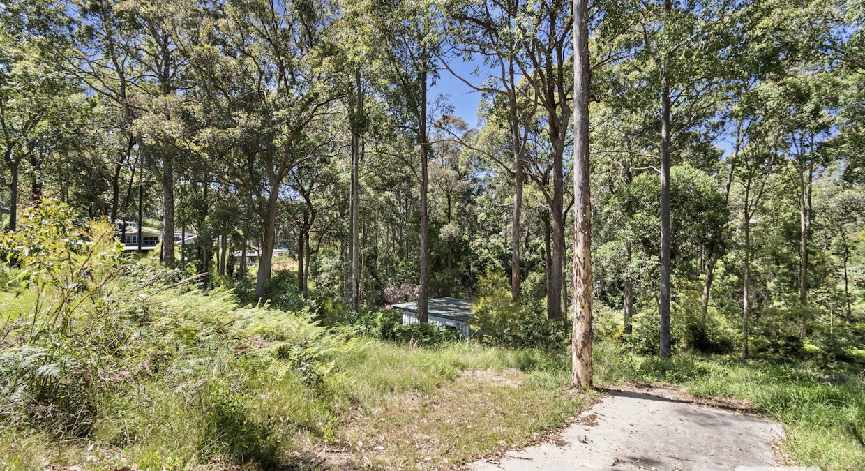 16 Lewana Close, Lilli Pilli, NSW, 2536 - Image 5