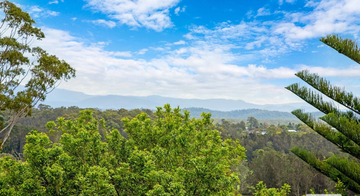 20 Riverview Crescent, Catalina, NSW, 2536 - Image 26