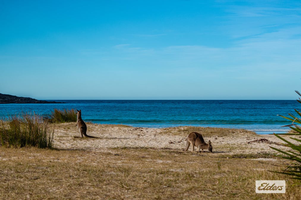 41/Golden Beaches Drive, Kioloa, NSW, 2539 - Image 12