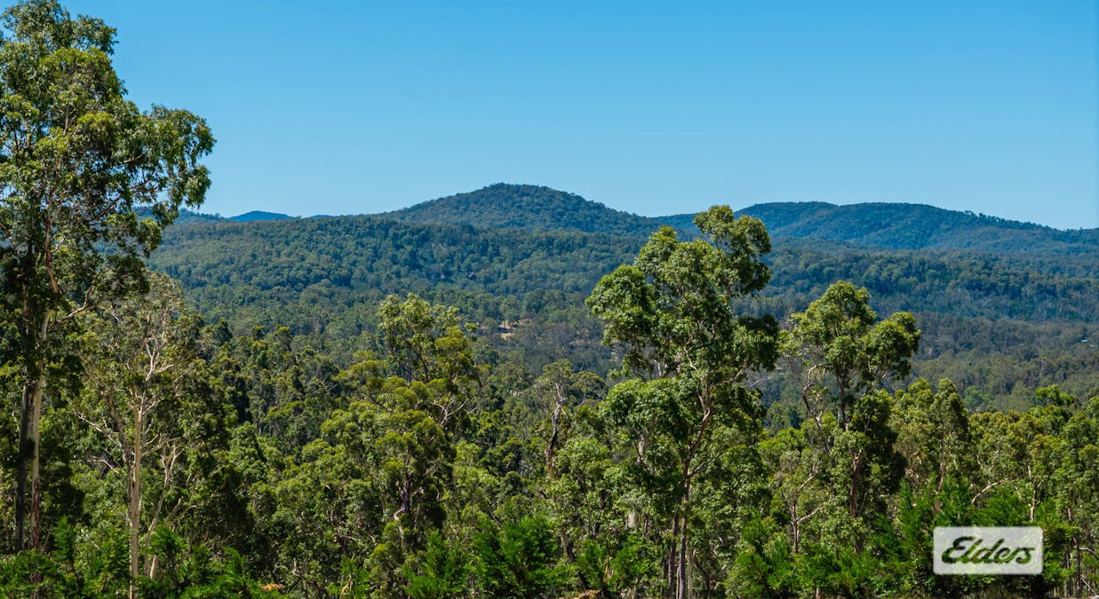 232 Paradise Road, Nelligen, NSW, 2536 - Image 19