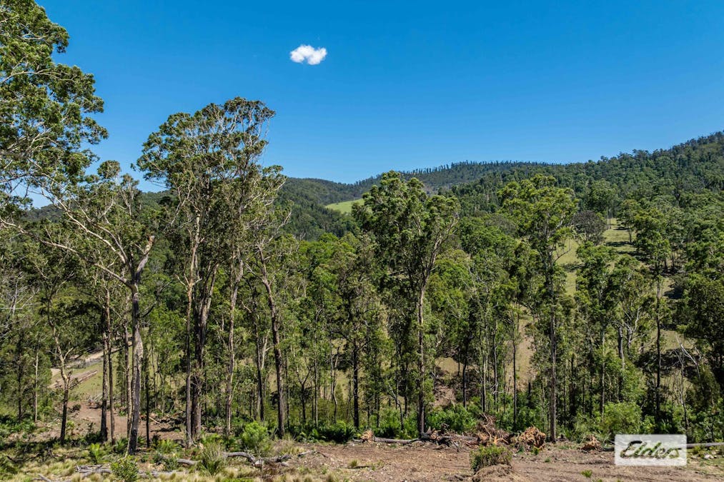 232 Paradise Road, Nelligen, NSW, 2536 - Image 20