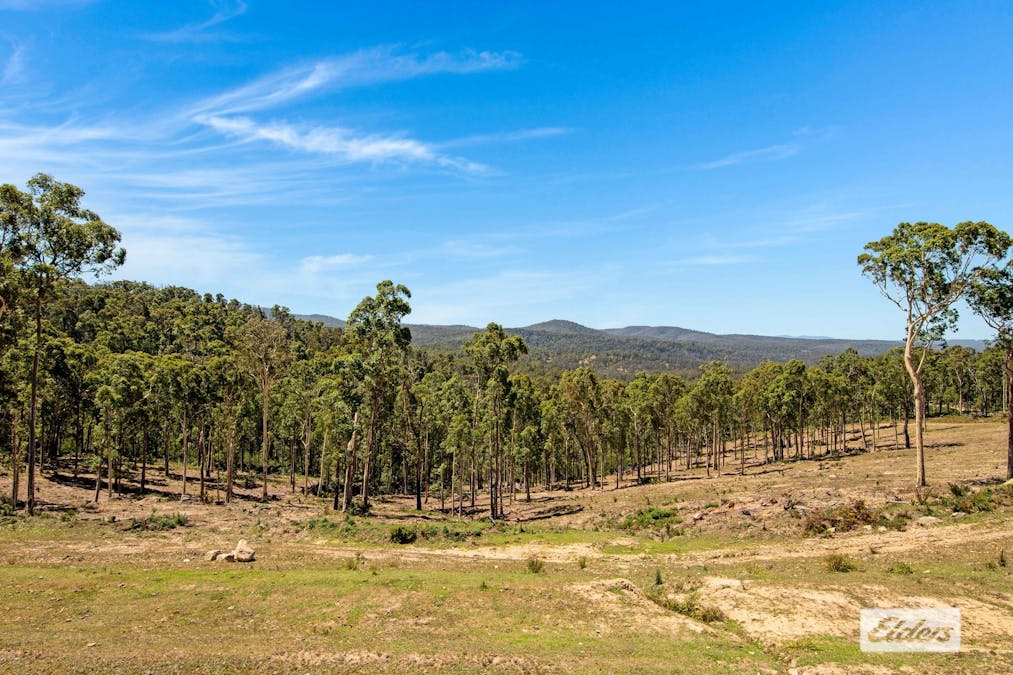 232 Paradise Road, Nelligen, NSW, 2536 - Image 10