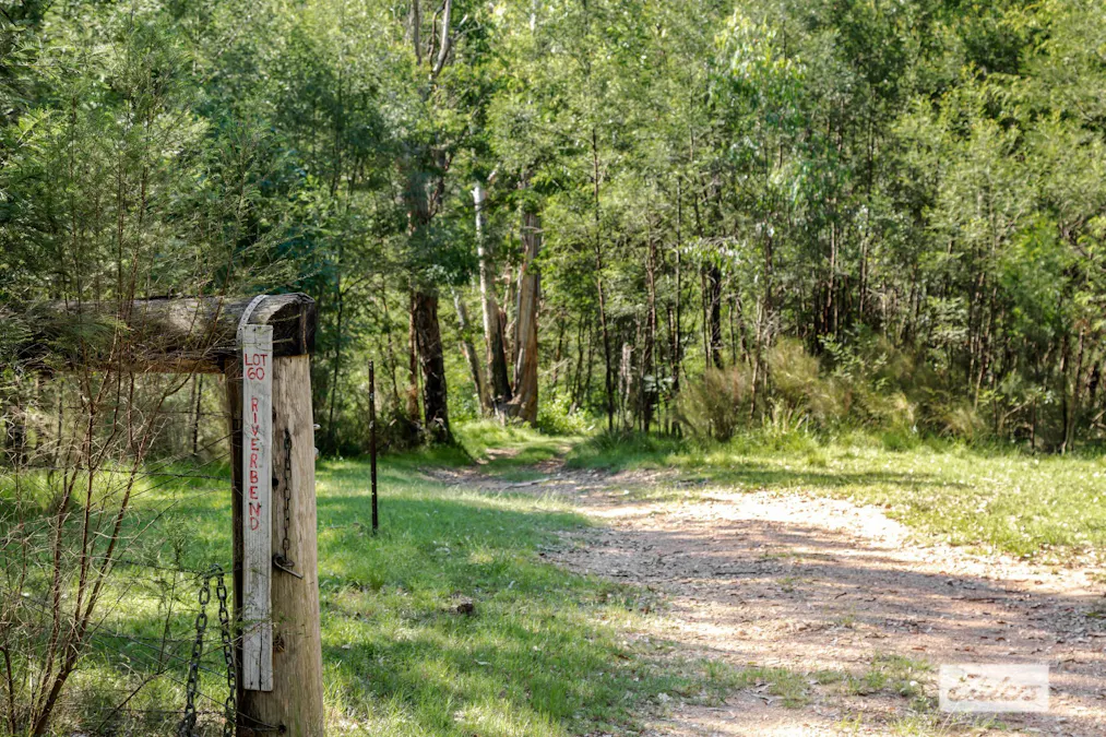 Lot 60 Egans Road, Runnyford, NSW, 2536 - Image 11