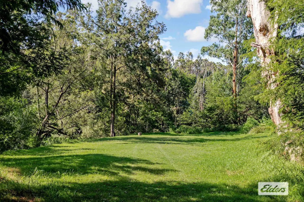 Lot 60 Egans Road, Runnyford, NSW, 2536 - Image 6