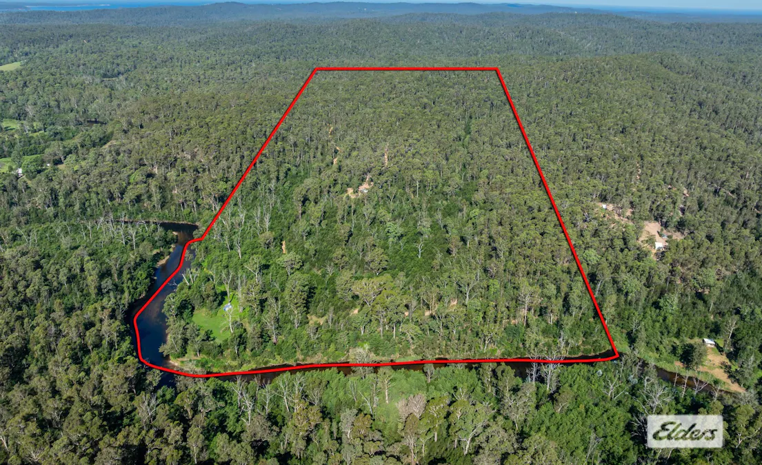 Lot 60 Egans Road, Runnyford, NSW, 2536 - Image 30