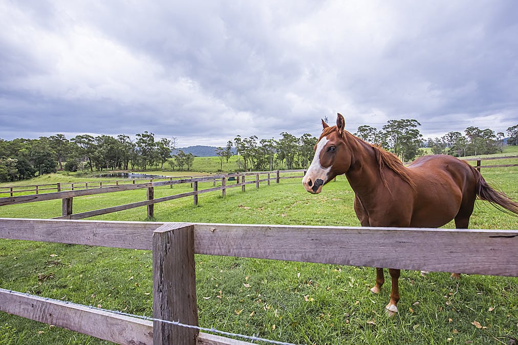 110 Valley Crest Road, Cooranbong, NSW, 2265 - Image 23