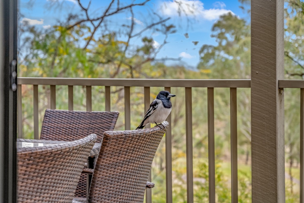 781/15 Thompsons Road, Pokolbin, NSW, 2320 - Image 17