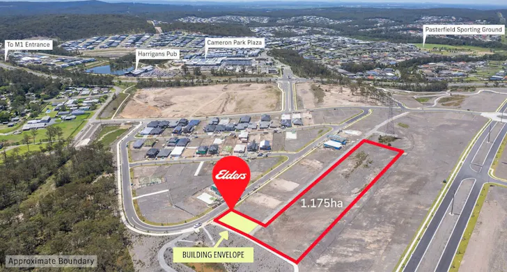 24 Fig Crescent, Edgeworth, NSW, 2285