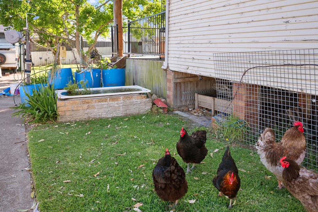 53  Rockleigh Street, Thornton, NSW, 2322 - Image 13