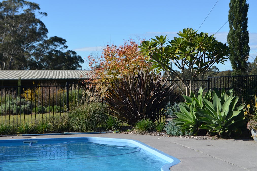 1467 Old Maitland Road, Sawyers Gully, NSW, 2326 - Image 6