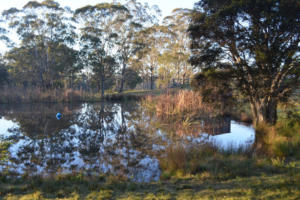 1467 Old Maitland Road, Sawyers Gully, NSW, 2326 - Image 24