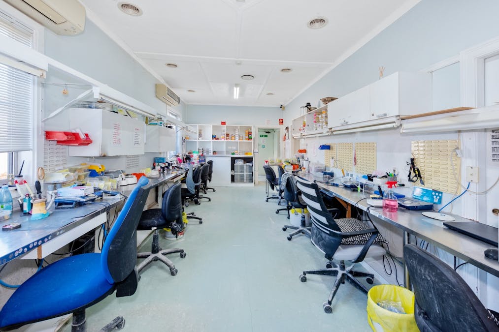 16 Council Street, Wallsend, NSW, 2287 - Image 7