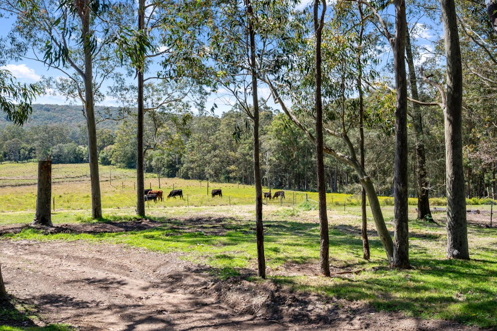 111-112 Browns Road, Mandalong, NSW, 2264 - Image 24