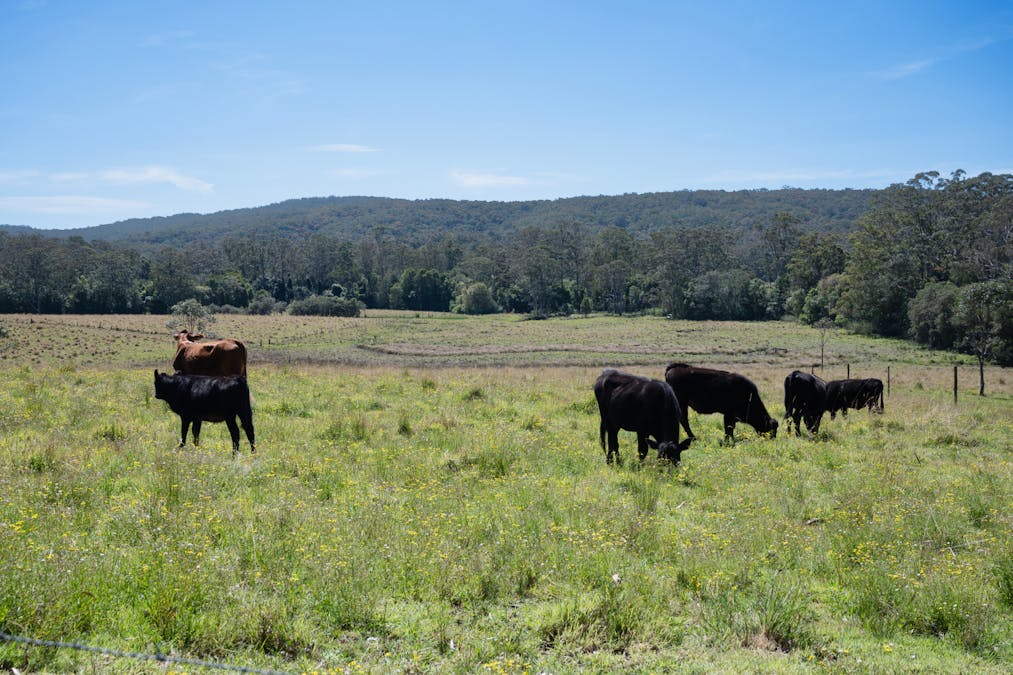 111-112 Browns Road, Mandalong, NSW, 2264 - Image 6