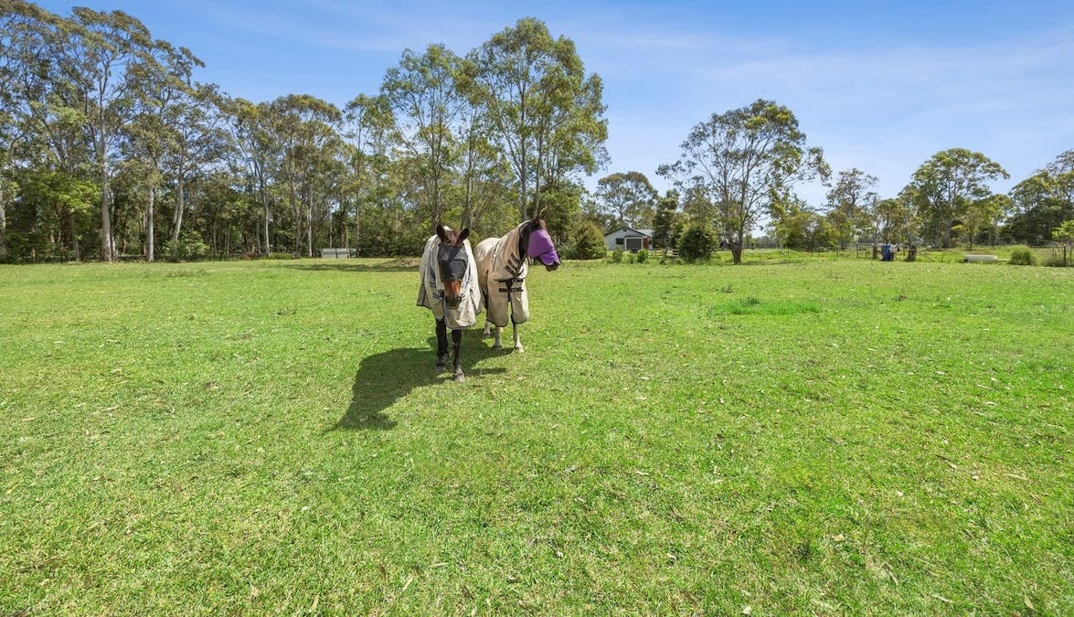 343 Mandalong Road, Mandalong, NSW, 2264 - Image 13