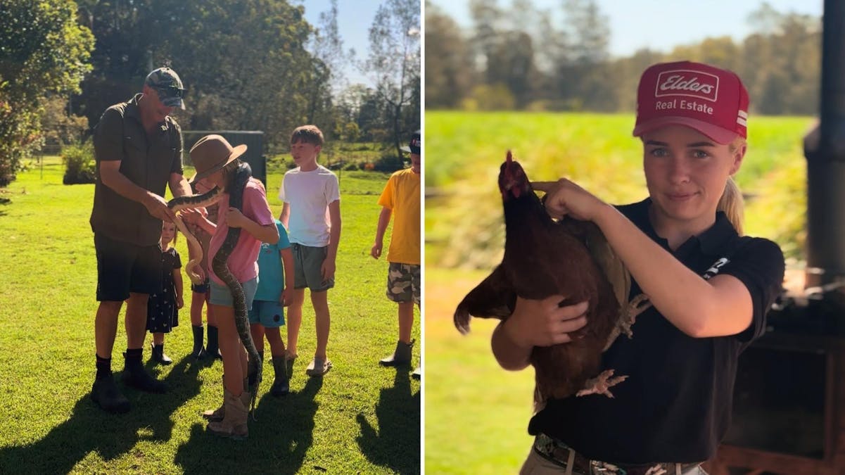 564 Marsh Road, Bobs Farm, NSW, 2316 - Image 5