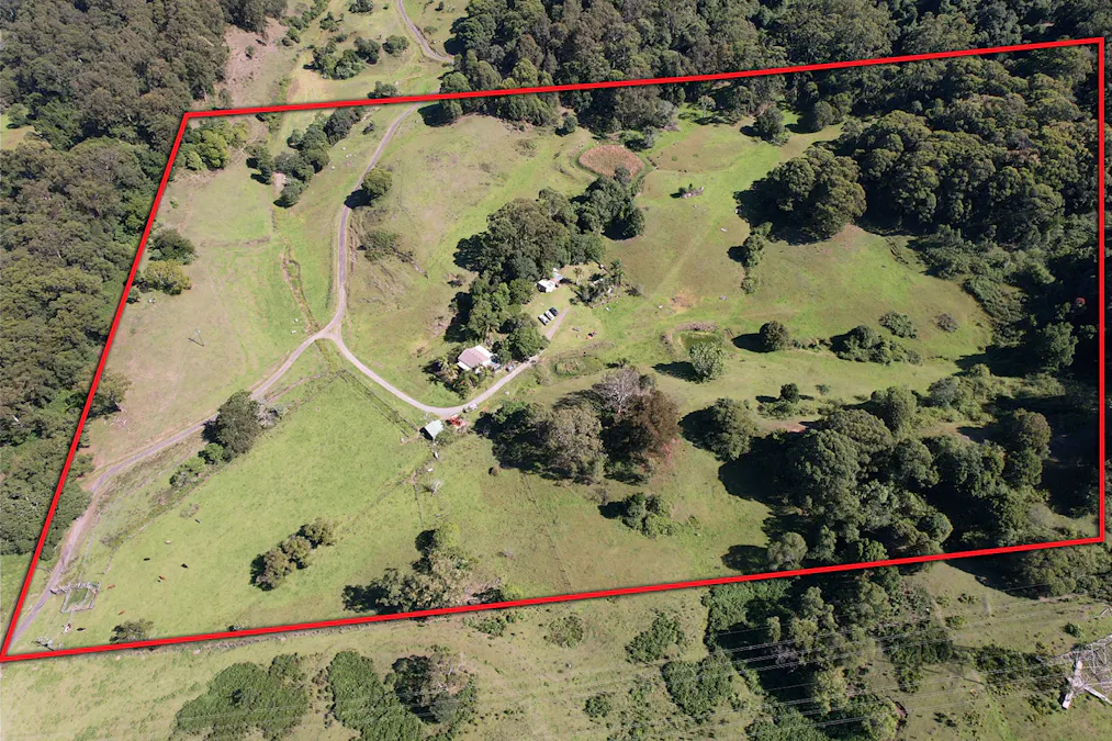142 Cedar Hill Drive, Black Hill, NSW, 2322 - Image 2