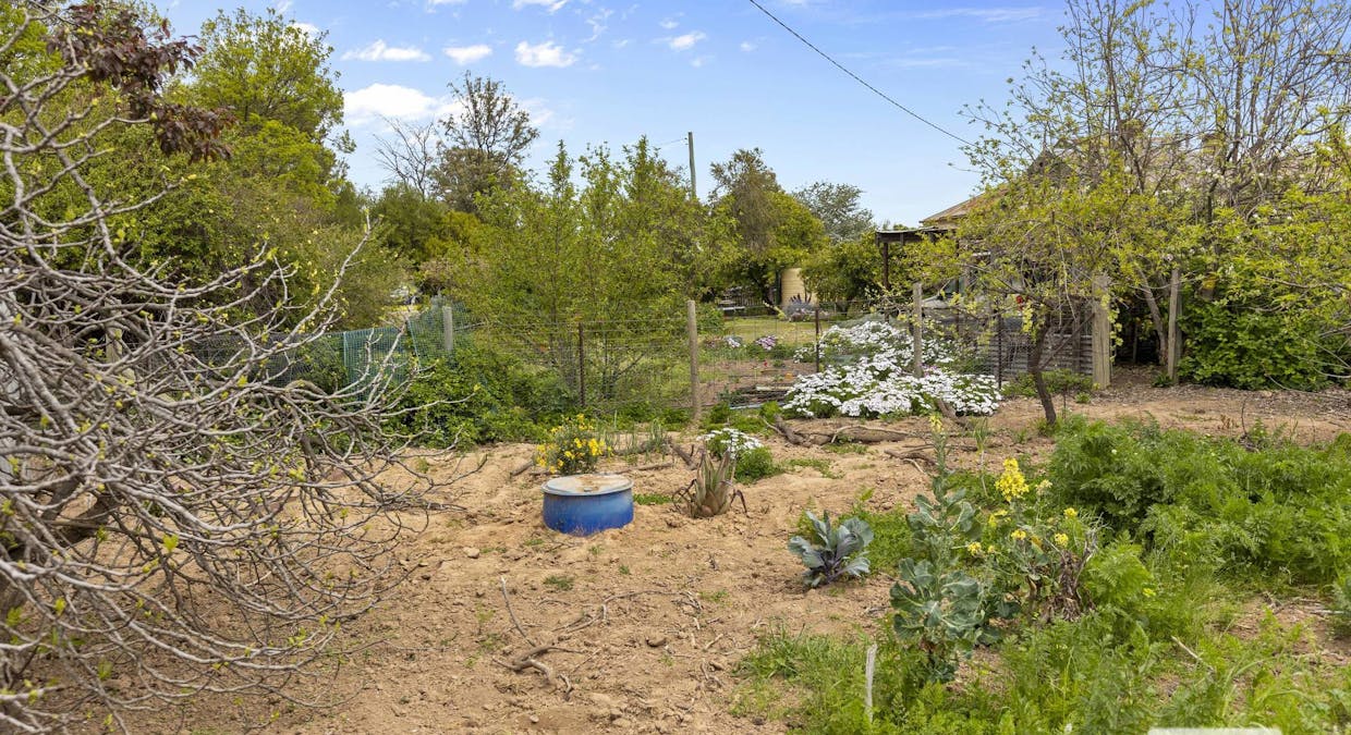 68 Urana Street, The Rock, NSW, 2655 - Image 17