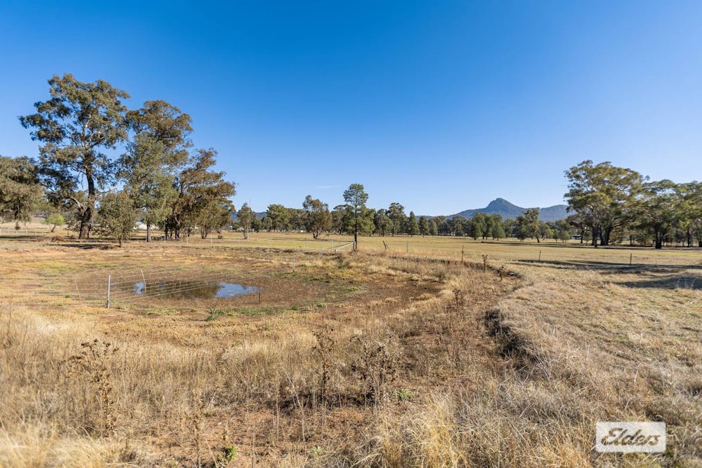 4 Hill Street, The Rock, NSW, 2655 - Image 13