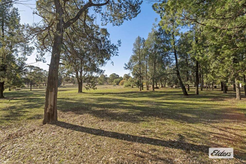  Lot 91 Pine Street, The Rock, NSW, 2655 - Image 5