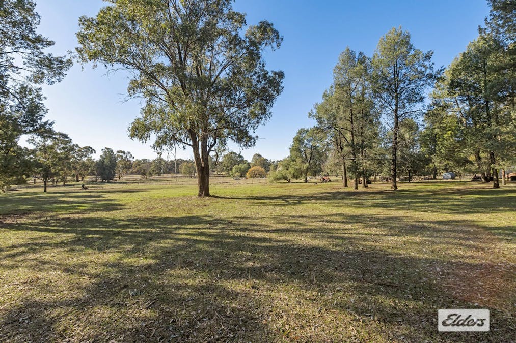  Lot 91 Pine Street, The Rock, NSW, 2655 - Image 7