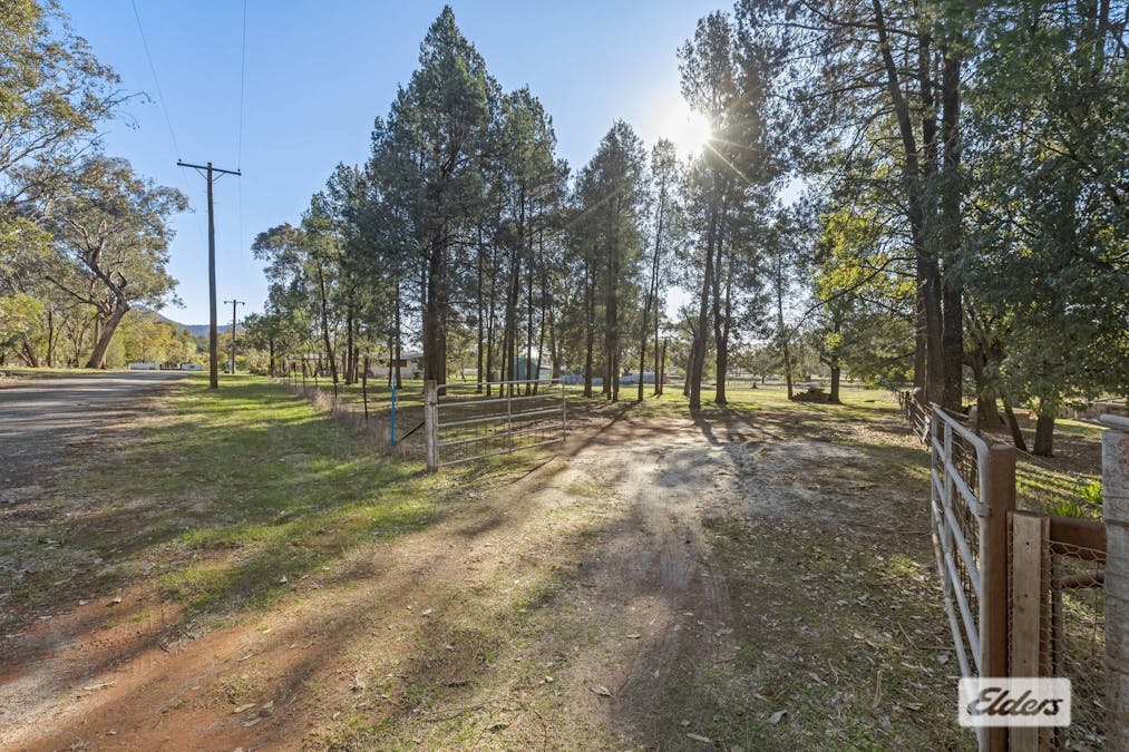  Lot 91 Pine Street, The Rock, NSW, 2655 - Image 4