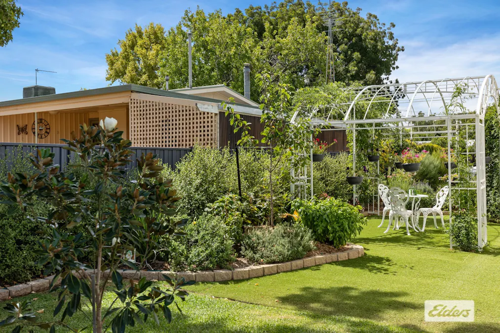 13 Davidson Street, The Rock, NSW, 2655 - Image 31