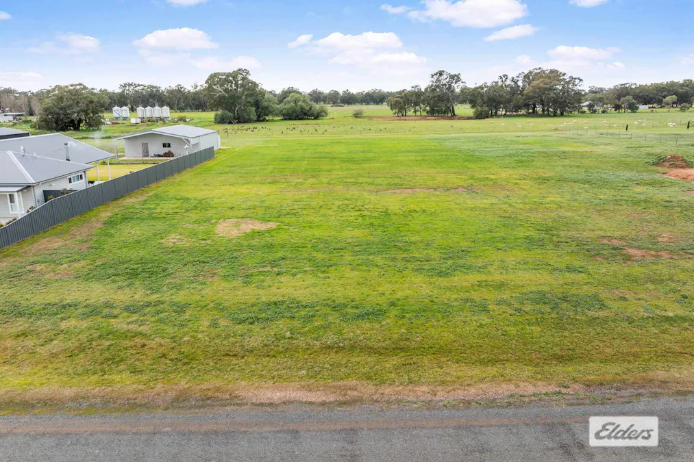 16 Carson Road, The Rock, NSW, 2655 - Image 5