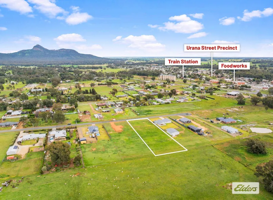 16 Carson Road, The Rock, NSW, 2655 - Image 8