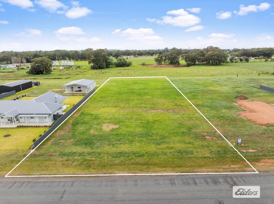 16 Carson Road, The Rock, NSW, 2655 - Image 3