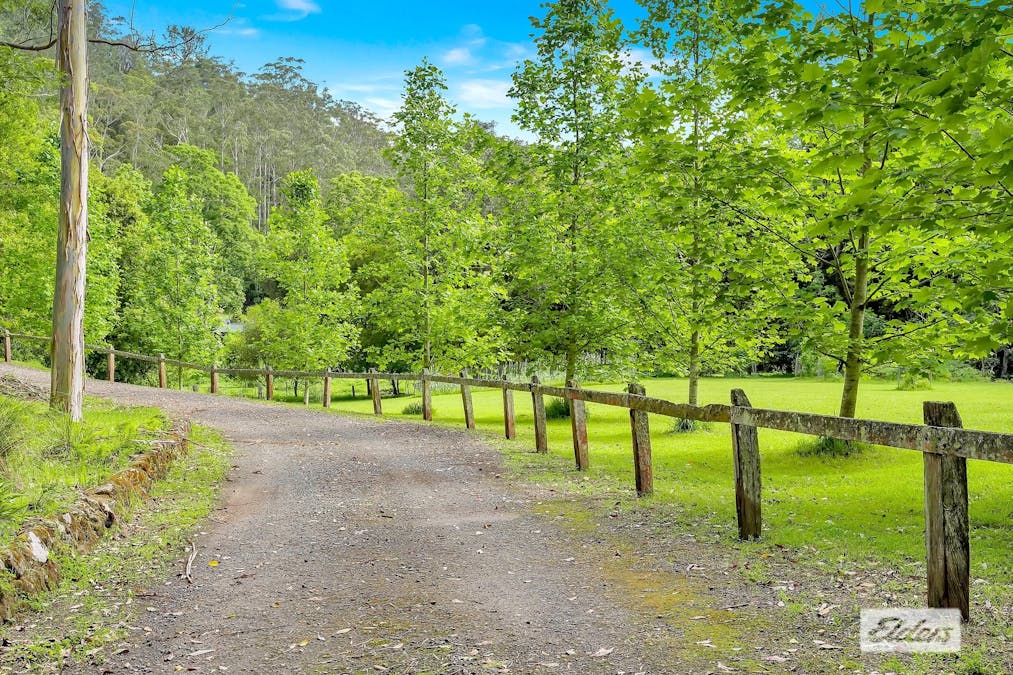 87 Kingtree Lane, Cedar Brush Creek, NSW, 2259 - Image 2