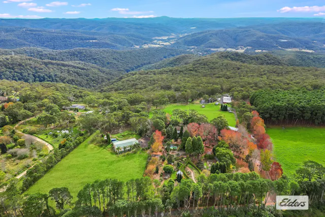 234 Forest Road — photo from Elders Real Estate Coast and Country