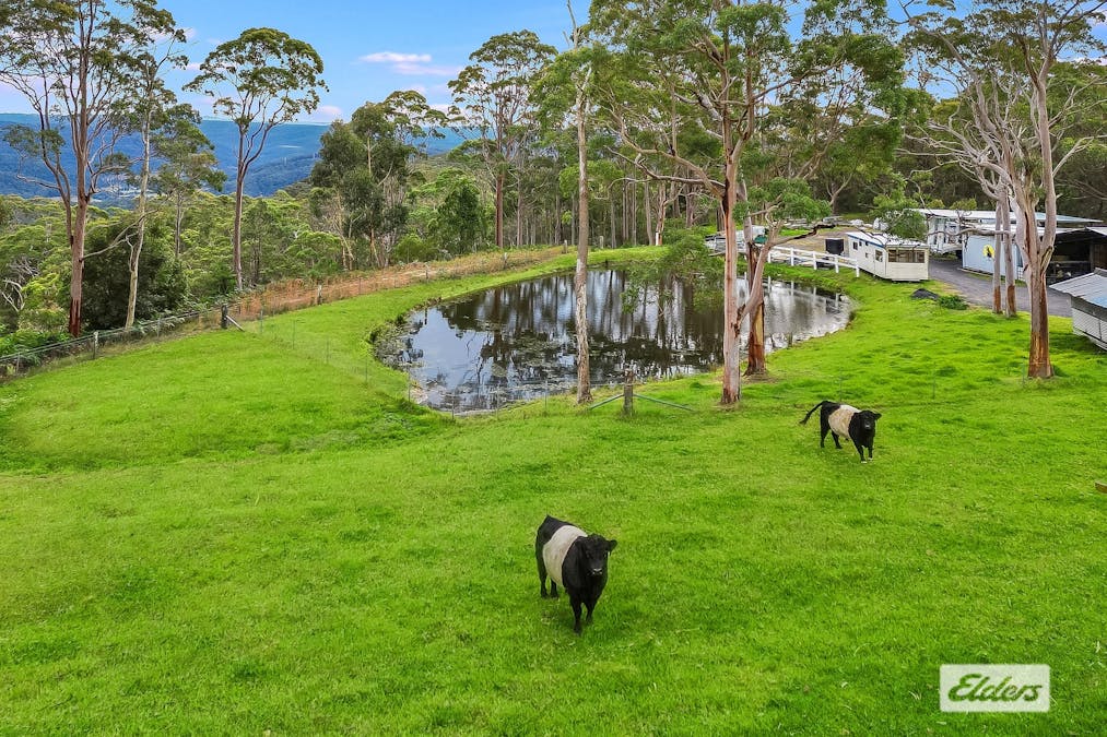 234 Forest Road, Kulnura, NSW, 2250 - Image 17