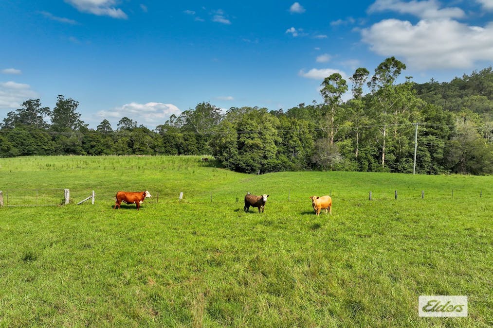 1698 Yarramalong Road, Yarramalong, NSW, 2259 - Image 19