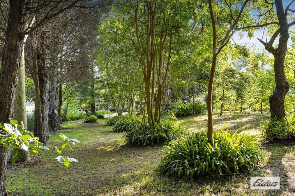 1698 Yarramalong Road, Yarramalong, NSW, 2259 - Image 31