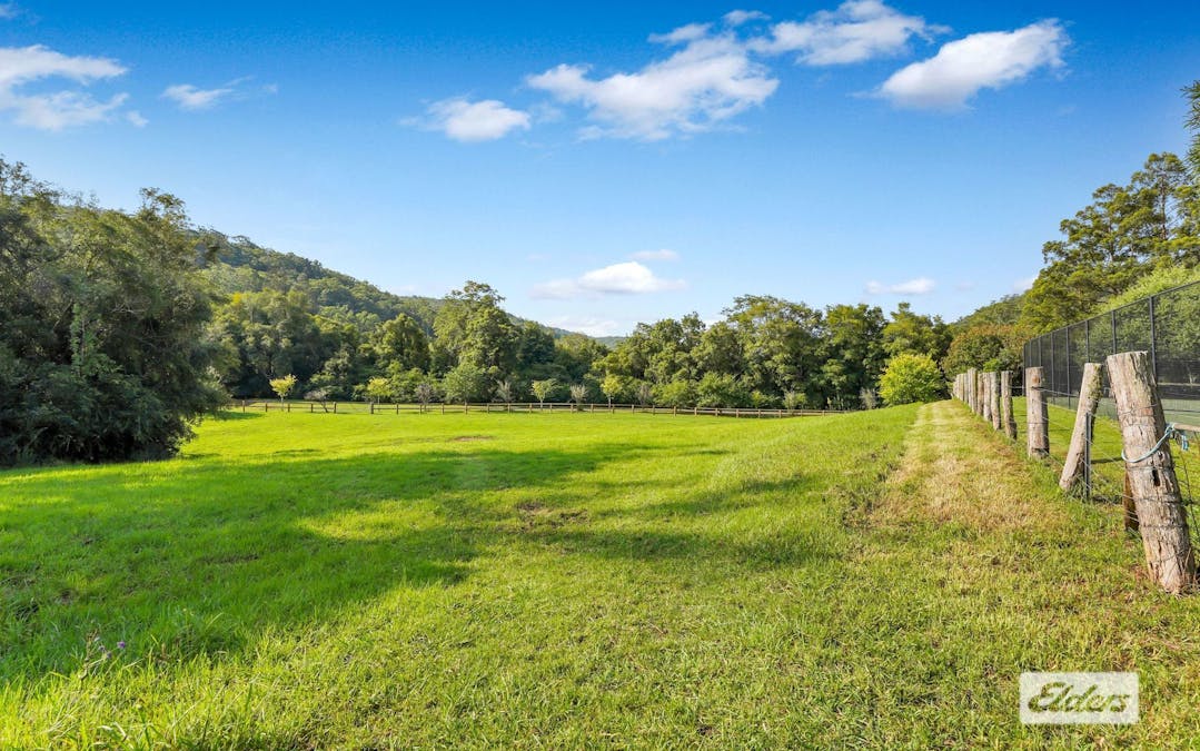 1698 Yarramalong Road, Yarramalong, NSW, 2259 - Image 34