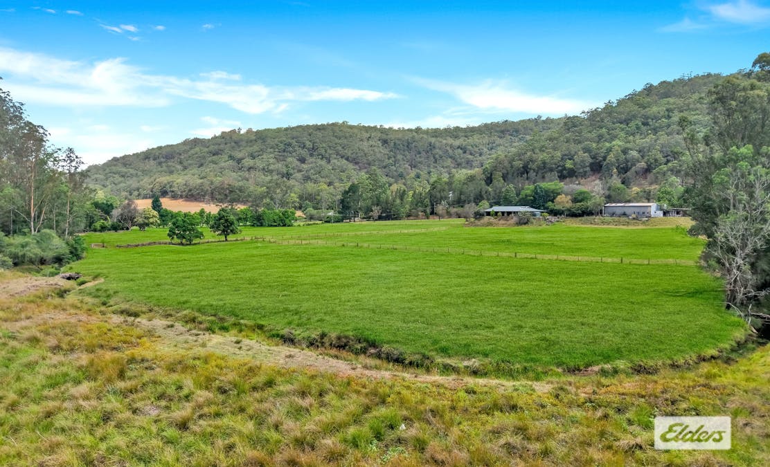 115 Bunning Creek Road, Yarramalong, NSW, 2259 - Image 9