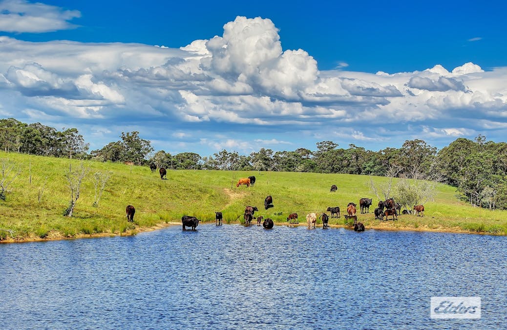 1510 George Downes Drive, Kulnura, NSW, 2250 - Image 5