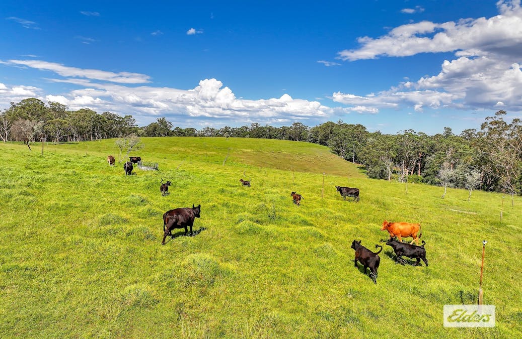 1510 George Downes Drive, Kulnura, NSW, 2250 - Image 26