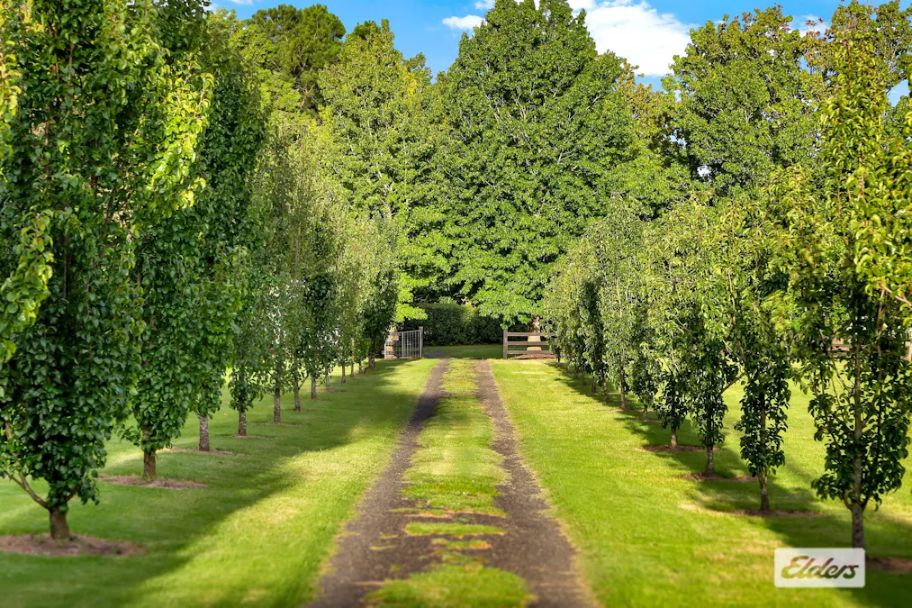 380 George Downes Drive, Central Mangrove, NSW, 2250 - Image 6