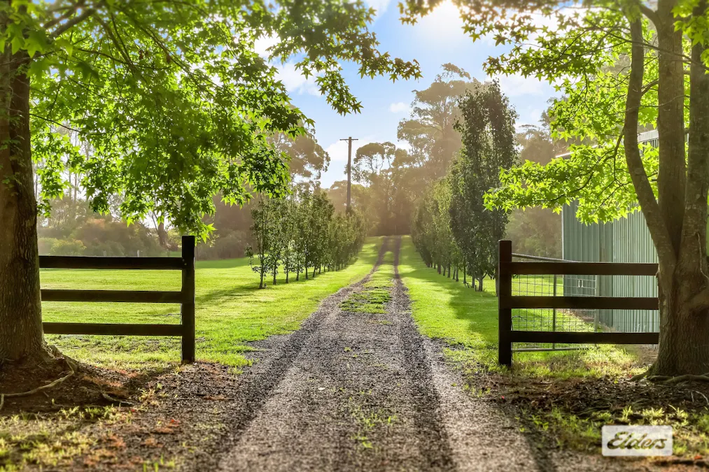 380 George Downes Drive, Central Mangrove, NSW, 2250 - Image 3