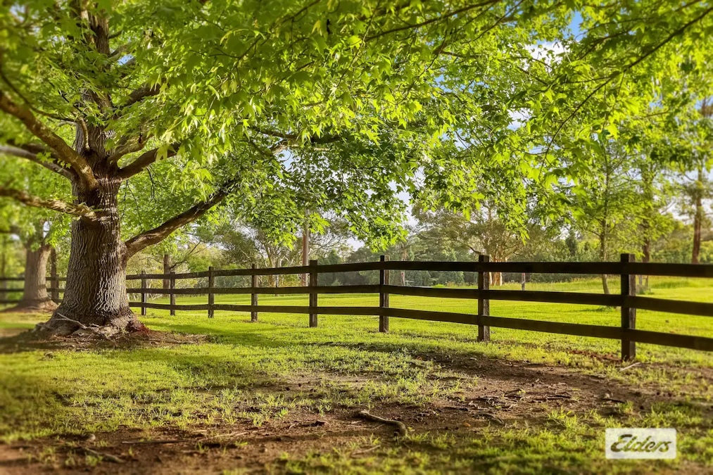 380 George Downes Drive, Central Mangrove, NSW, 2250 - Image 5